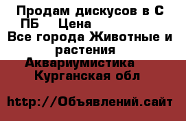 Продам дискусов в С-ПБ. › Цена ­ 3500-4500 - Все города Животные и растения » Аквариумистика   . Курганская обл.